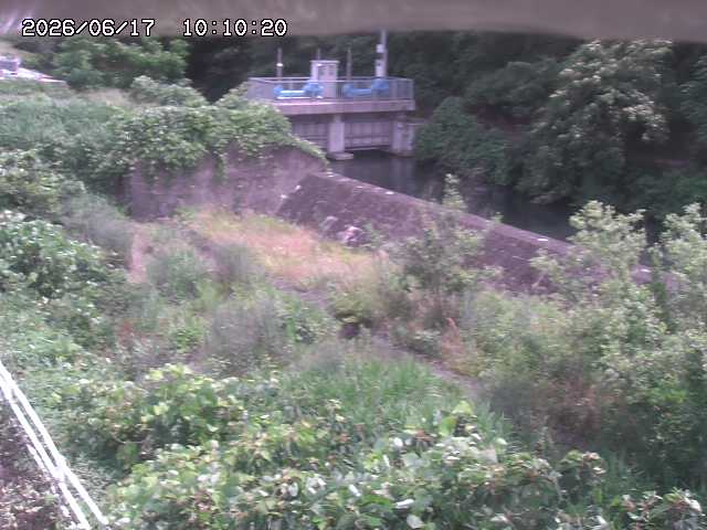 山白川３2026/06/17 12:00:00