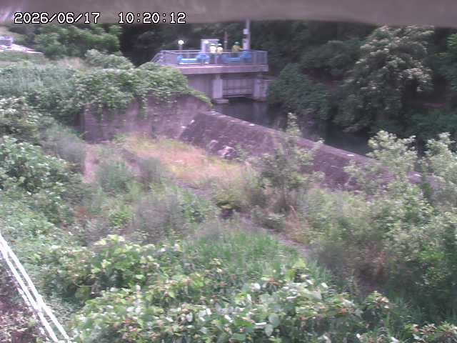 山白川３2026/06/17 12:00:00