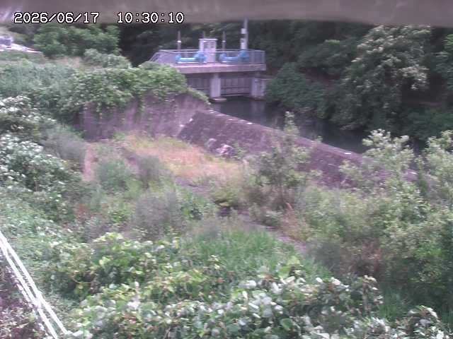 山白川３2026/06/17 12:00:00