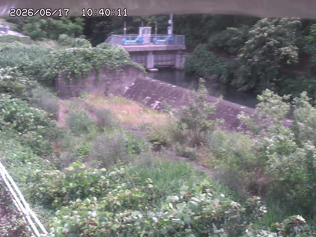 山白川３2026/06/17 12:00:00