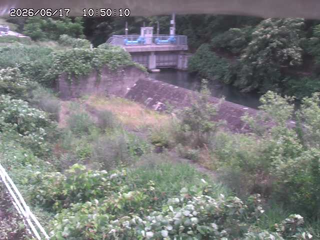 山白川３2026/06/17 12:00:00
