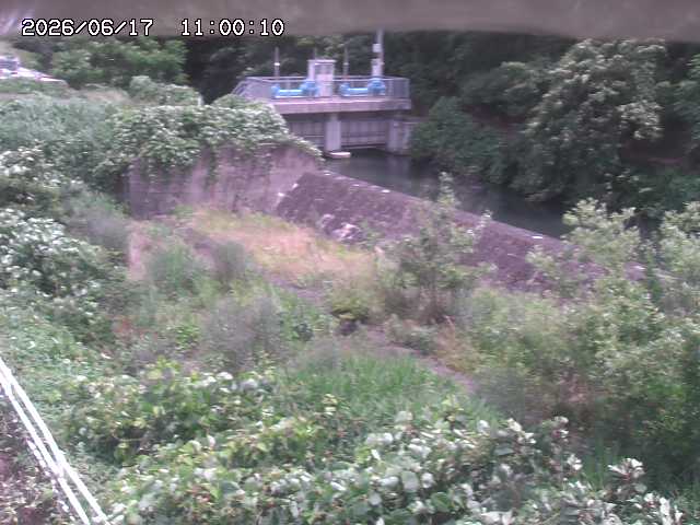 山白川３2026/06/17 12:00:00