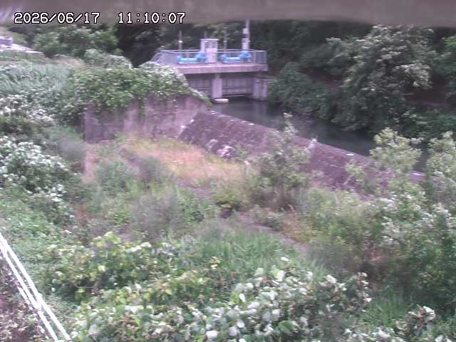 山白川３2026/06/17 12:00:00