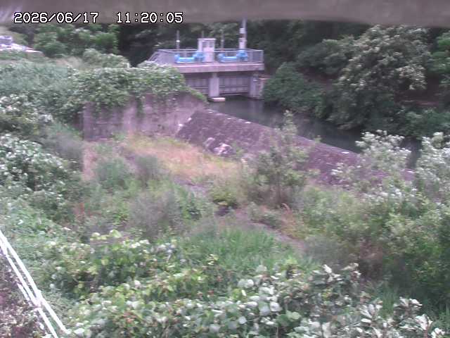 山白川３2026/06/17 12:00:00
