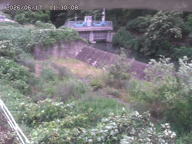 山白川３2026/06/17 12:00:00