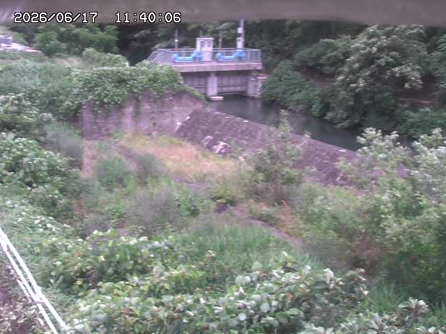 山白川３2026/06/17 12:00:00