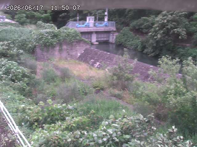 山白川３2026/06/17 12:00:00