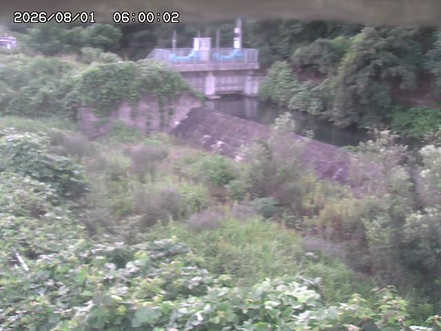山白川３2026/08/01 20:50:00