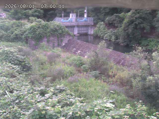 山白川３2026/08/01 20:50:00