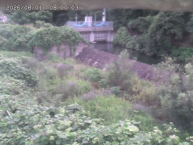 山白川３2026/08/01 20:50:00