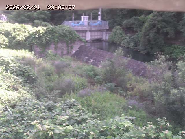 山白川３2026/08/01 20:50:00
