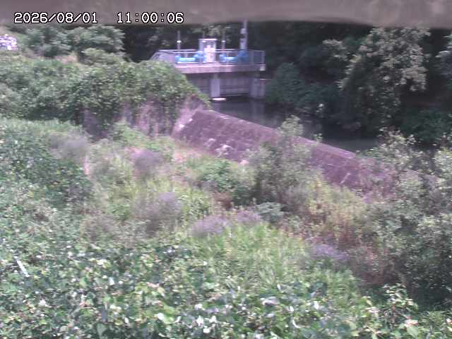 山白川３2026/08/01 20:50:00