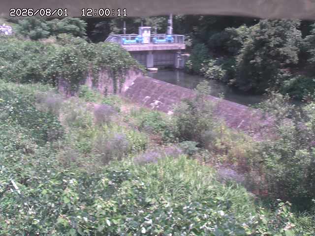 山白川３2026/08/01 20:50:00