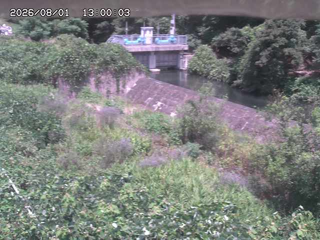 山白川３2026/08/01 20:50:00