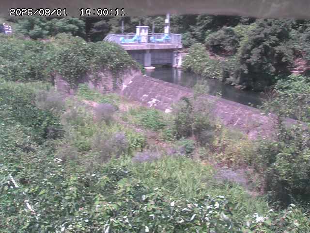 山白川３2026/08/01 20:50:00
