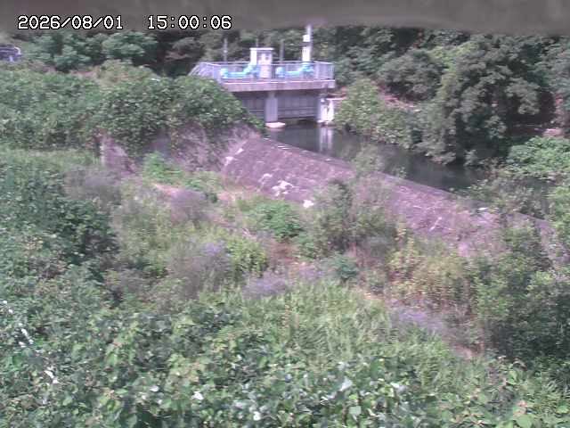 山白川３2026/08/01 20:50:00