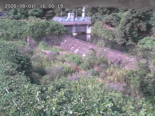 山白川３2026/08/01 20:50:00