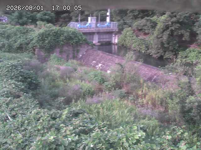 山白川３2026/08/01 20:50:00