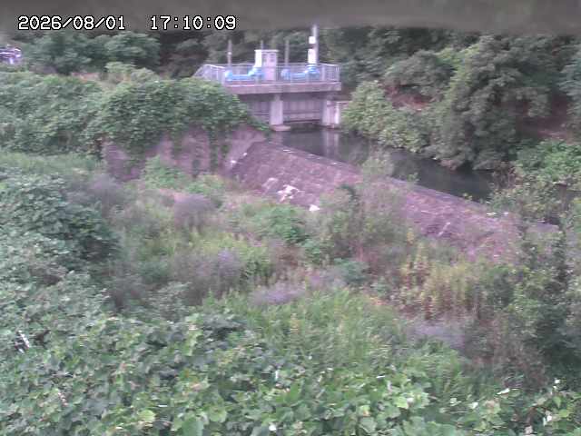 山白川３2026/08/01 20:50:00