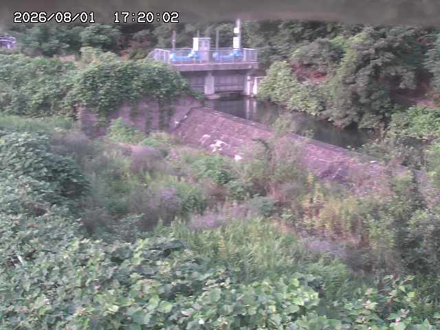 山白川３2026/08/01 20:50:00
