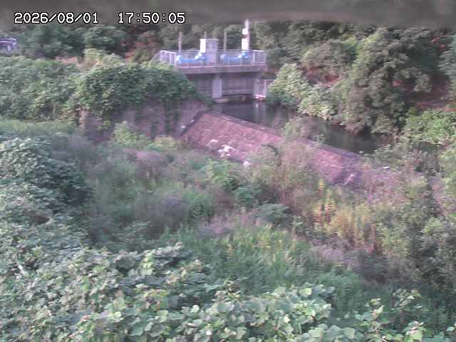 山白川３2026/08/01 20:50:00