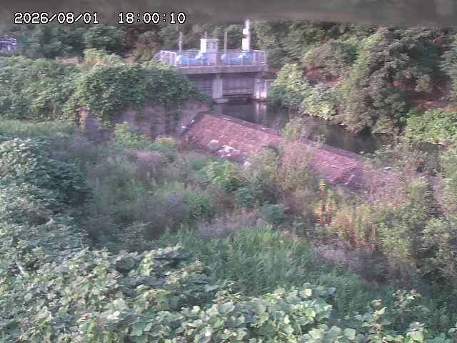 山白川３2026/08/01 20:50:00