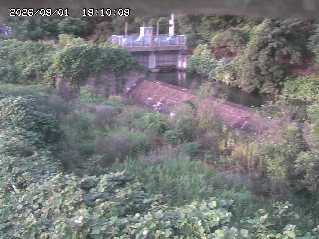 山白川３2026/08/01 20:50:00