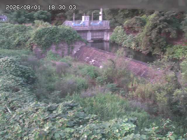 山白川３2026/08/01 20:50:00