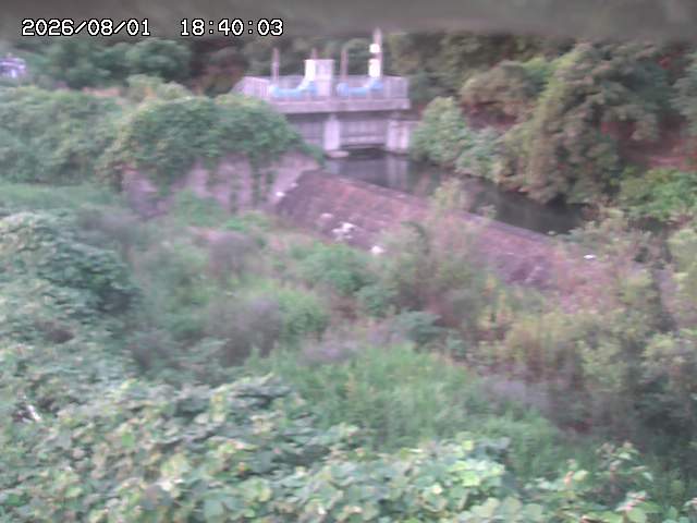 山白川３2026/08/01 20:50:00