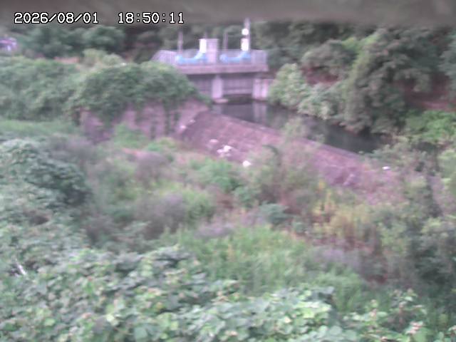 山白川３2026/08/01 20:50:00
