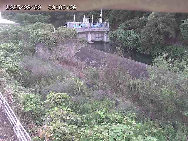 山白川３2025/08/31 9:10:00