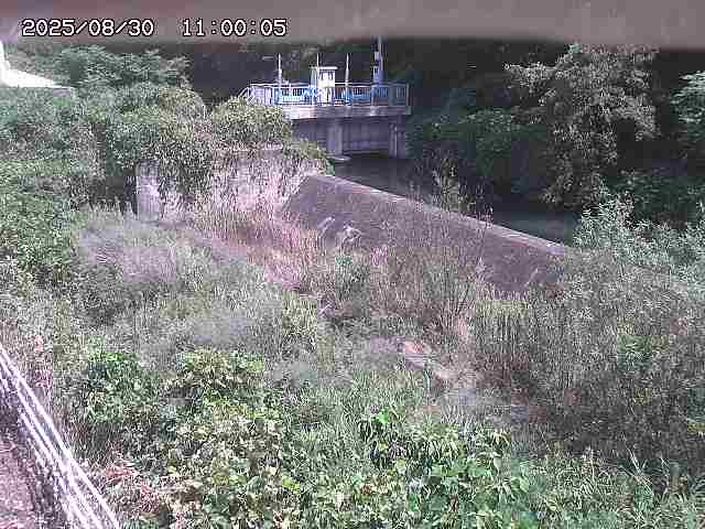山白川３2025/08/31 9:10:00