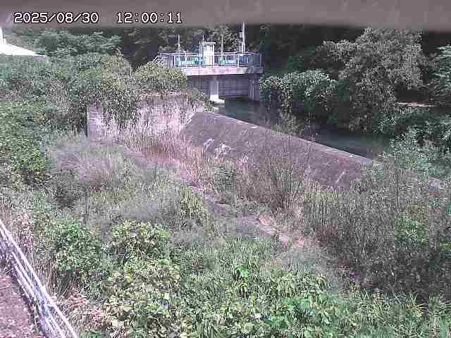 山白川３2025/08/31 9:10:00