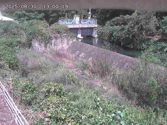 山白川３2025/08/31 9:10:00