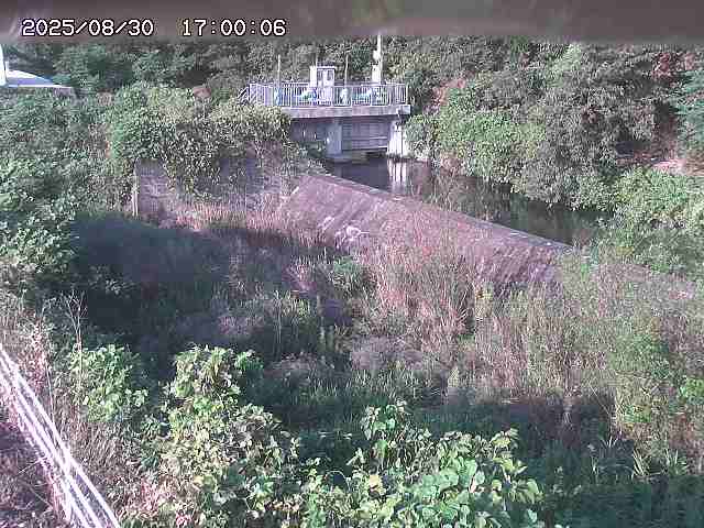 山白川３2025/08/31 9:10:00