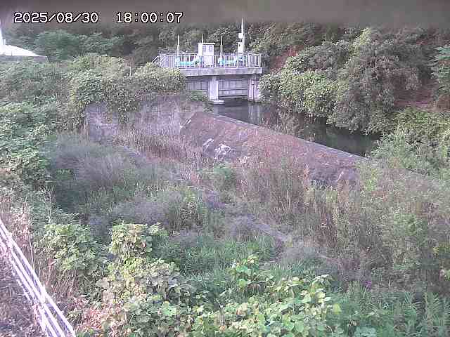 山白川３2025/08/31 9:10:00