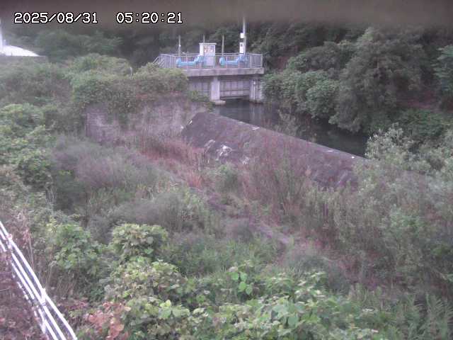 山白川３2025/08/31 9:10:00