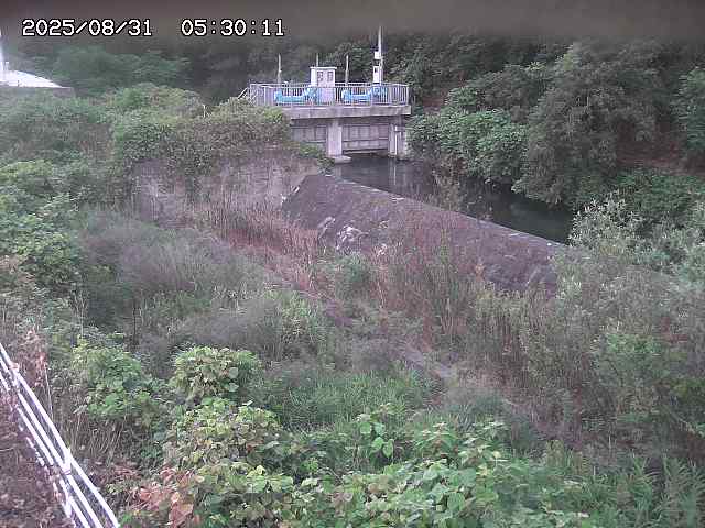 山白川３2025/08/31 9:10:00
