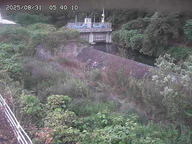 山白川３2025/08/31 9:10:00