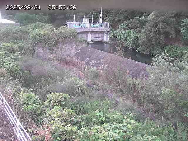 山白川３2025/08/31 9:10:00