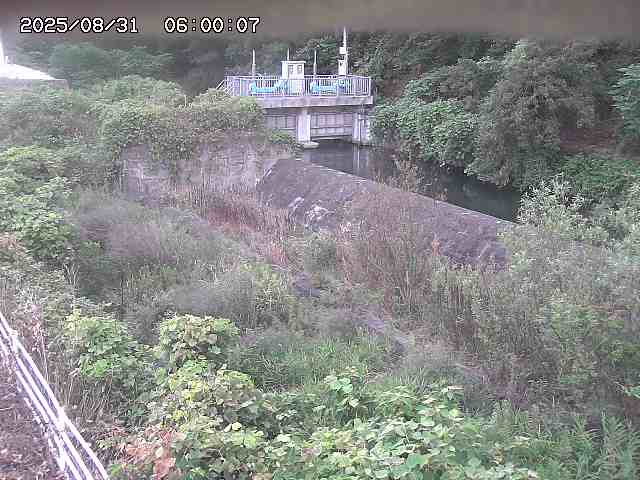 山白川３2025/08/31 9:10:00
