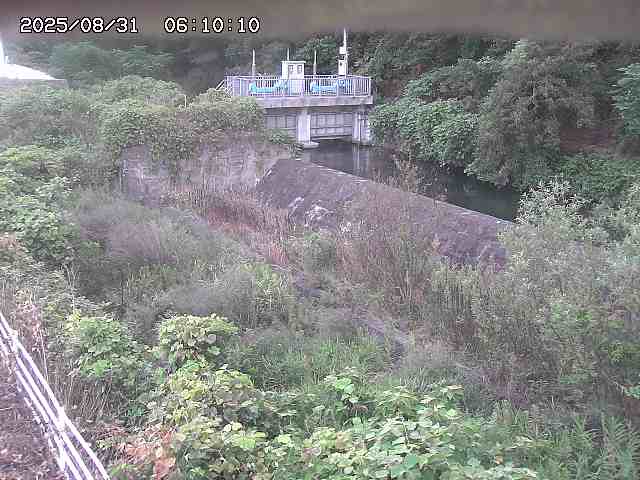 山白川３2025/08/31 9:10:00