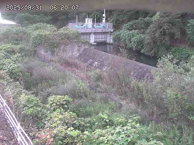 山白川３2025/08/31 9:10:00