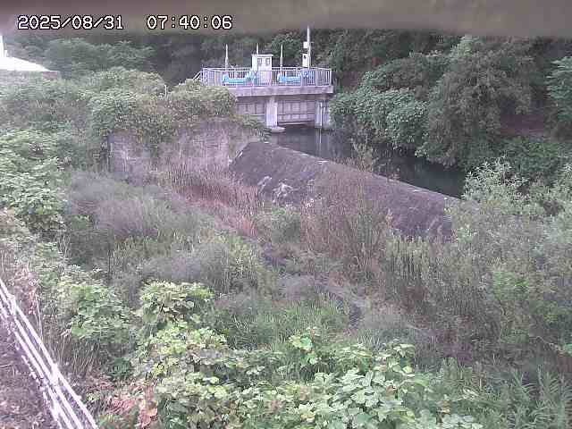 山白川３2025/08/31 9:10:00