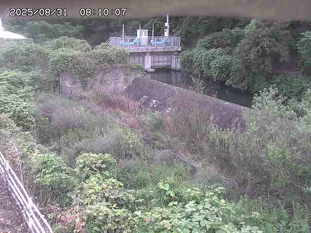 山白川３2025/08/31 9:10:00