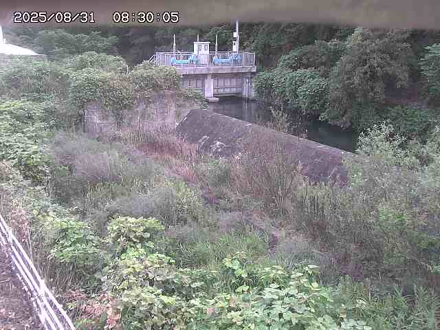 山白川３2025/08/31 9:10:00