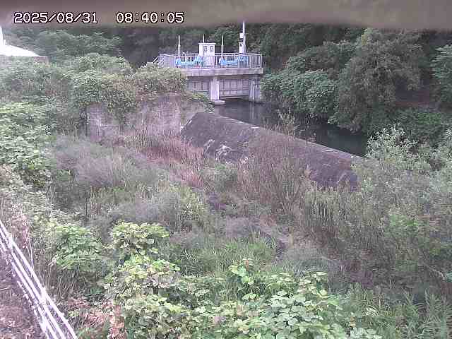 山白川３2025/08/31 9:10:00