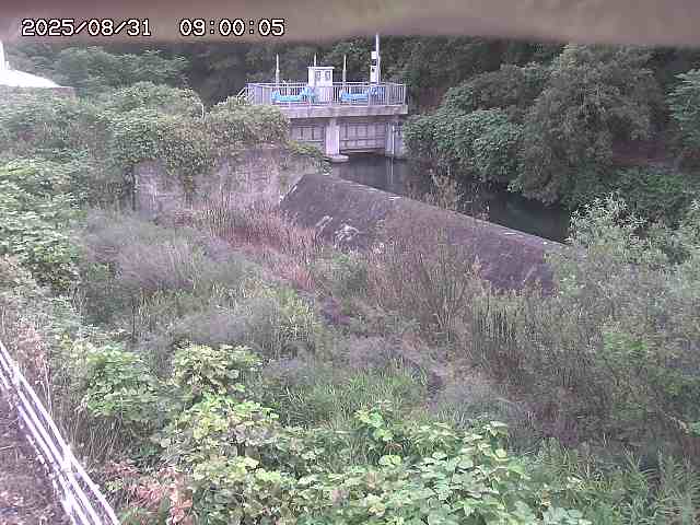 山白川３2025/08/31 9:10:00