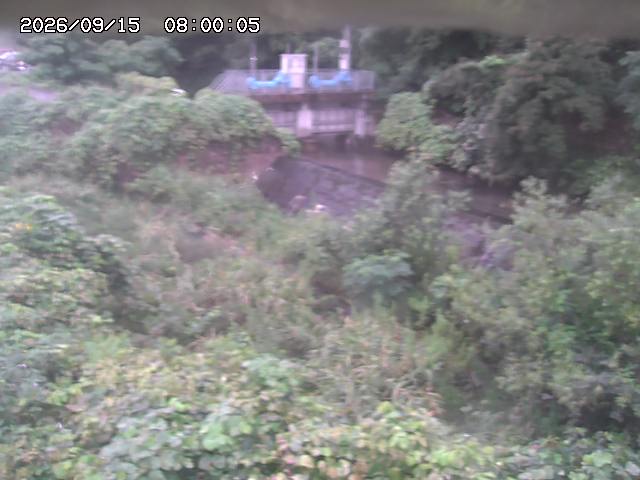 山白川３2026/09/15 14:20:00