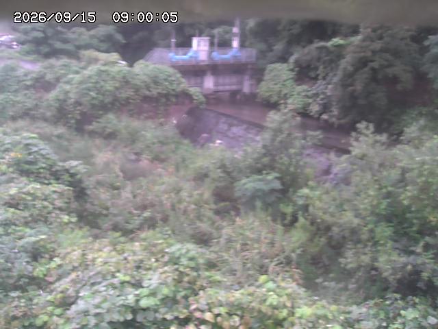 山白川３2026/09/15 14:20:00